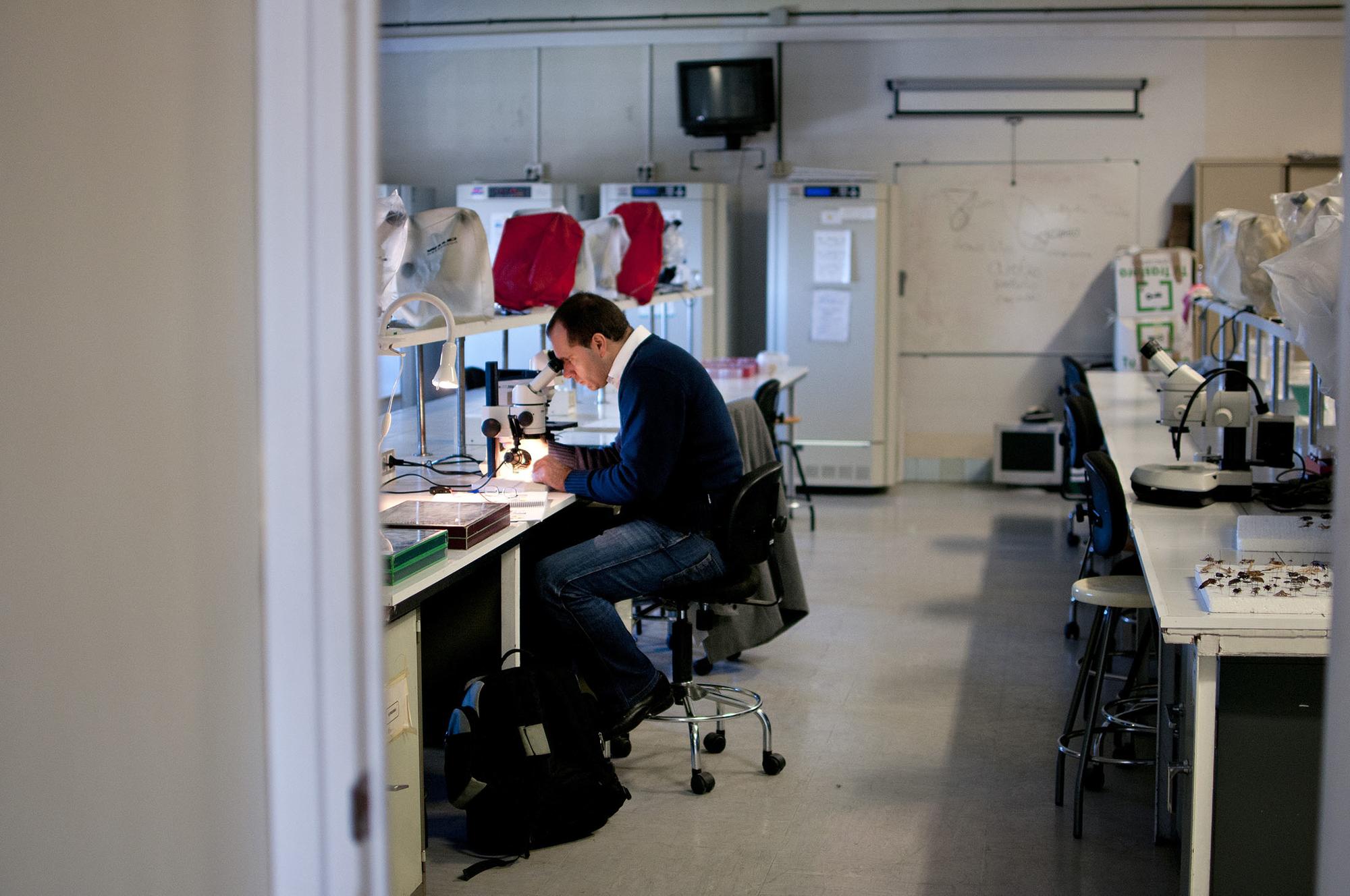 Laboratorio CSIC